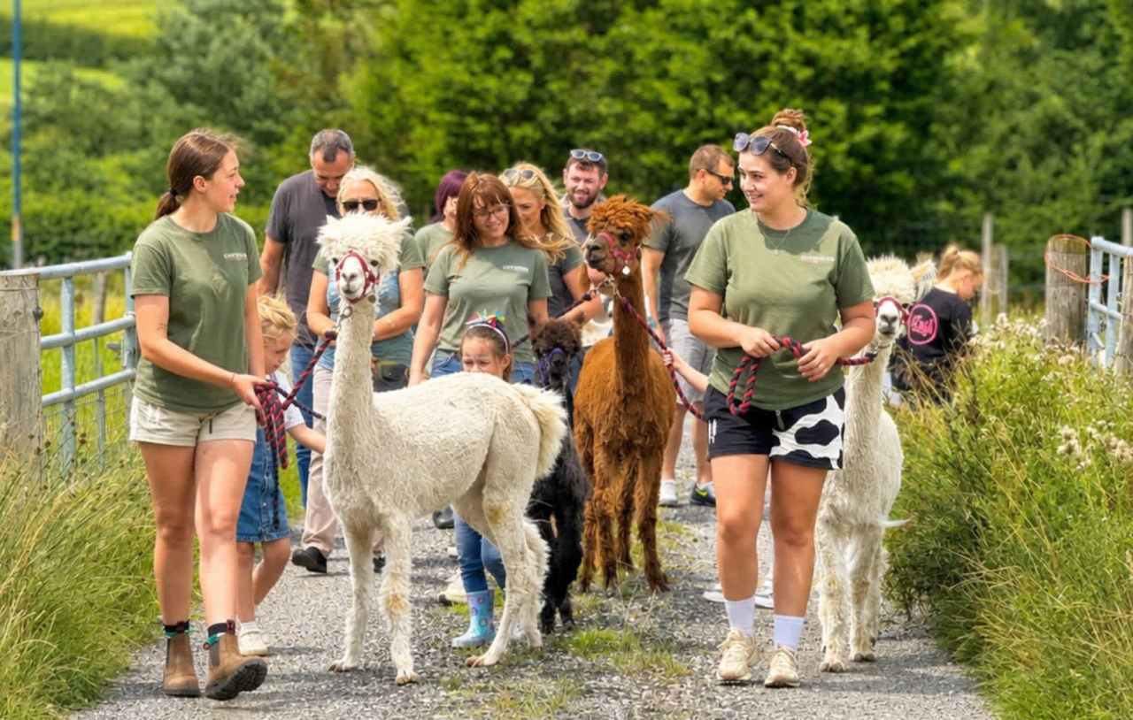 Farmlife Festival - Featured Image - 1