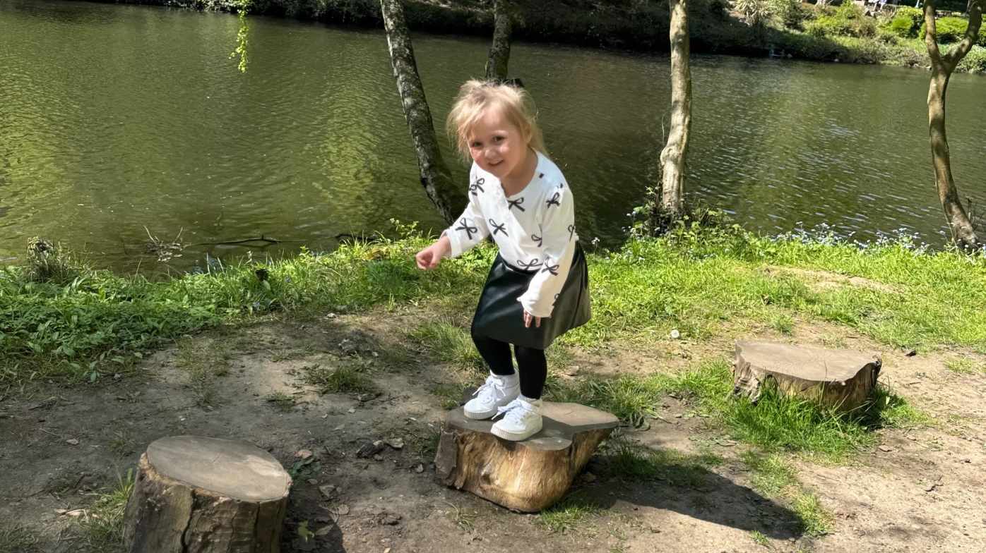 Stepping stumps Stepping stumps