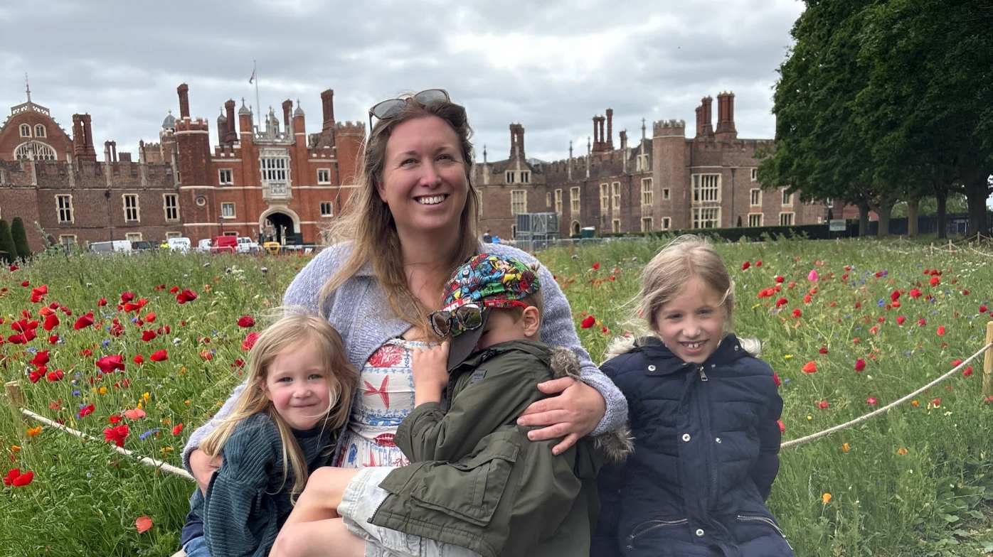 Wildflower meadow at the front of the palacd
