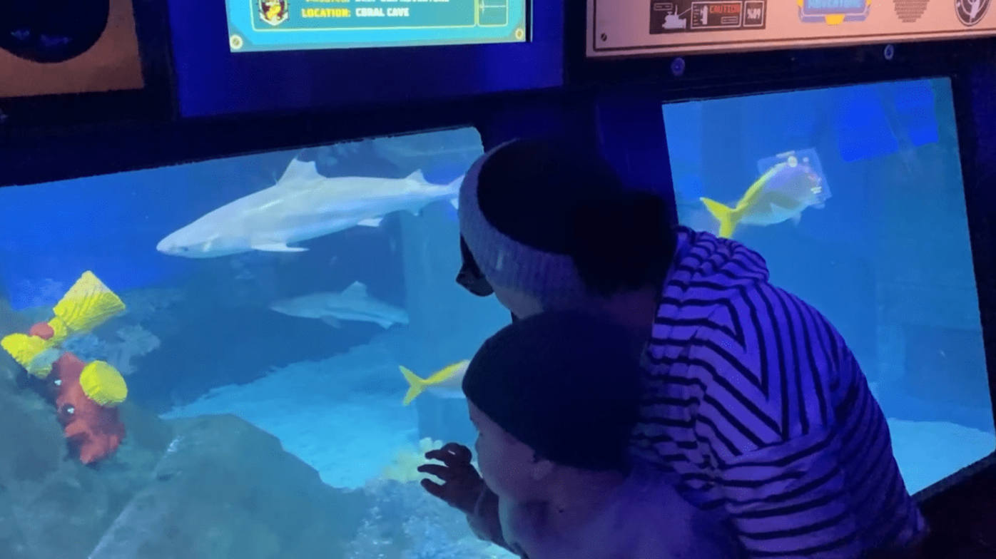 Absolutely loved seeing the Sharks on Deep Sea Dive Absolutely loved seeing the Sharks on Deep Sea Dive