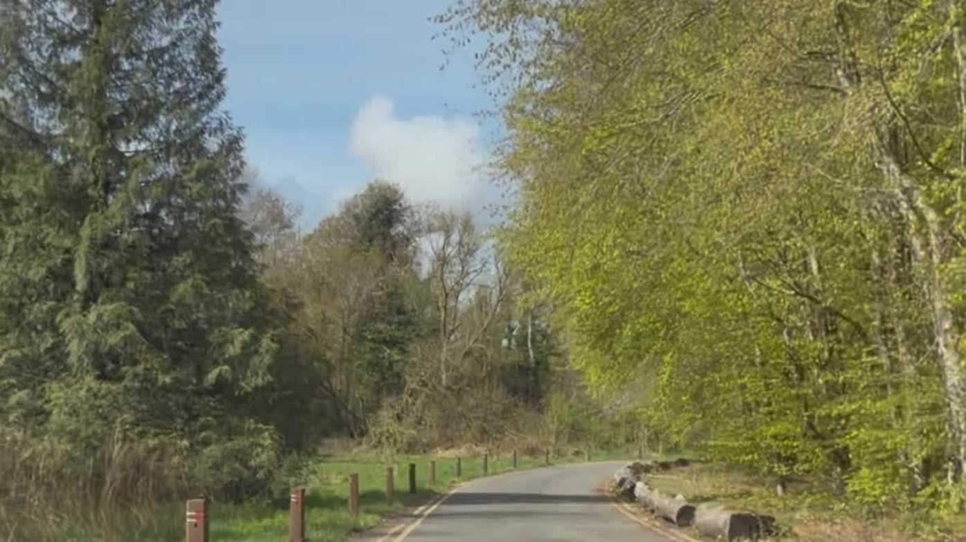 Lough Key Forest Park Lough Key Forest Park
