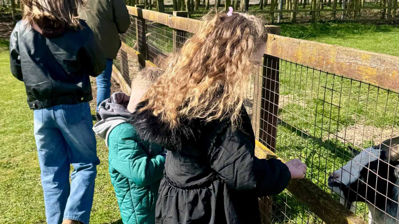 We hadn’t even explored the rest of the attraction yet, and the goats had already won over the children! We hadn’t even explored the rest of the attraction yet, and the goats had already won over the children!
