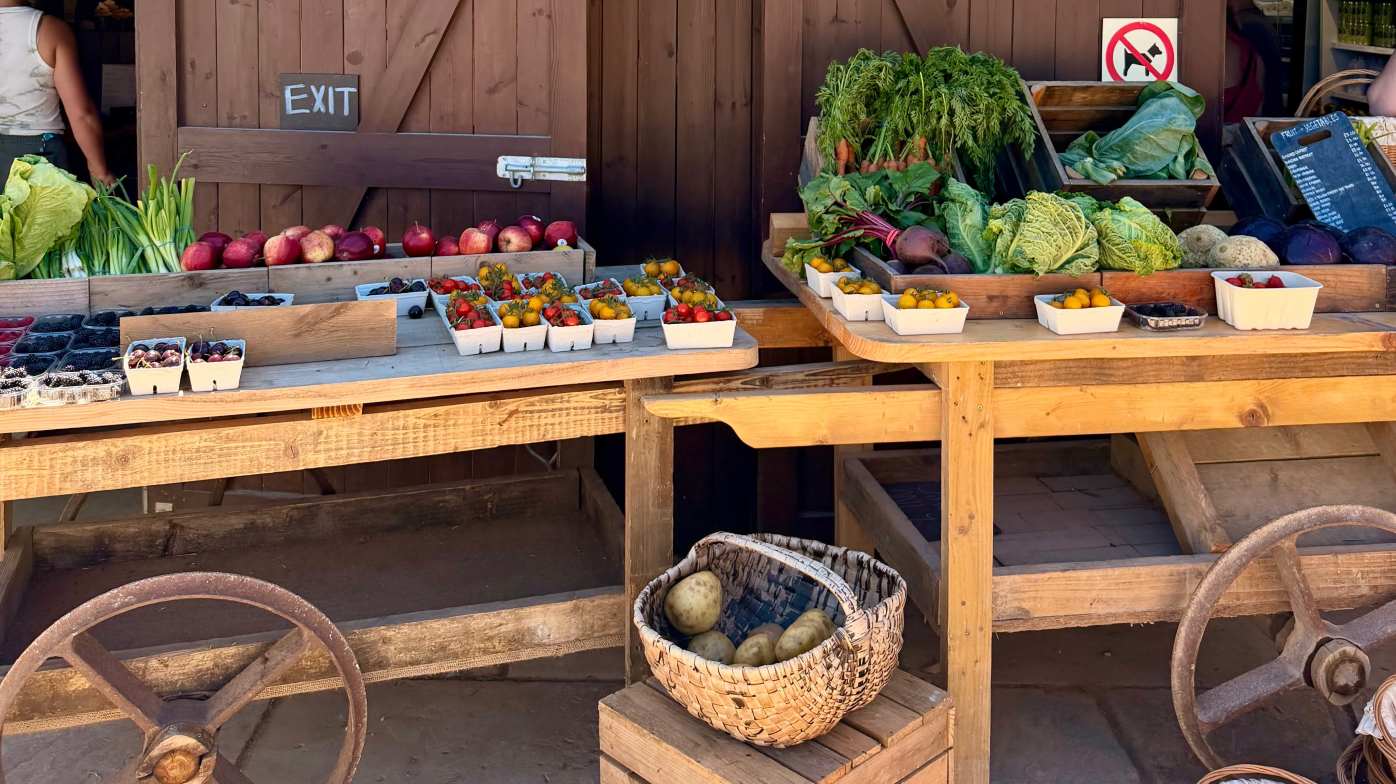 Fresh, locally grown produce was beautifully displayed outside the farm shop, adding to the authentic farming feel of the whole experience.