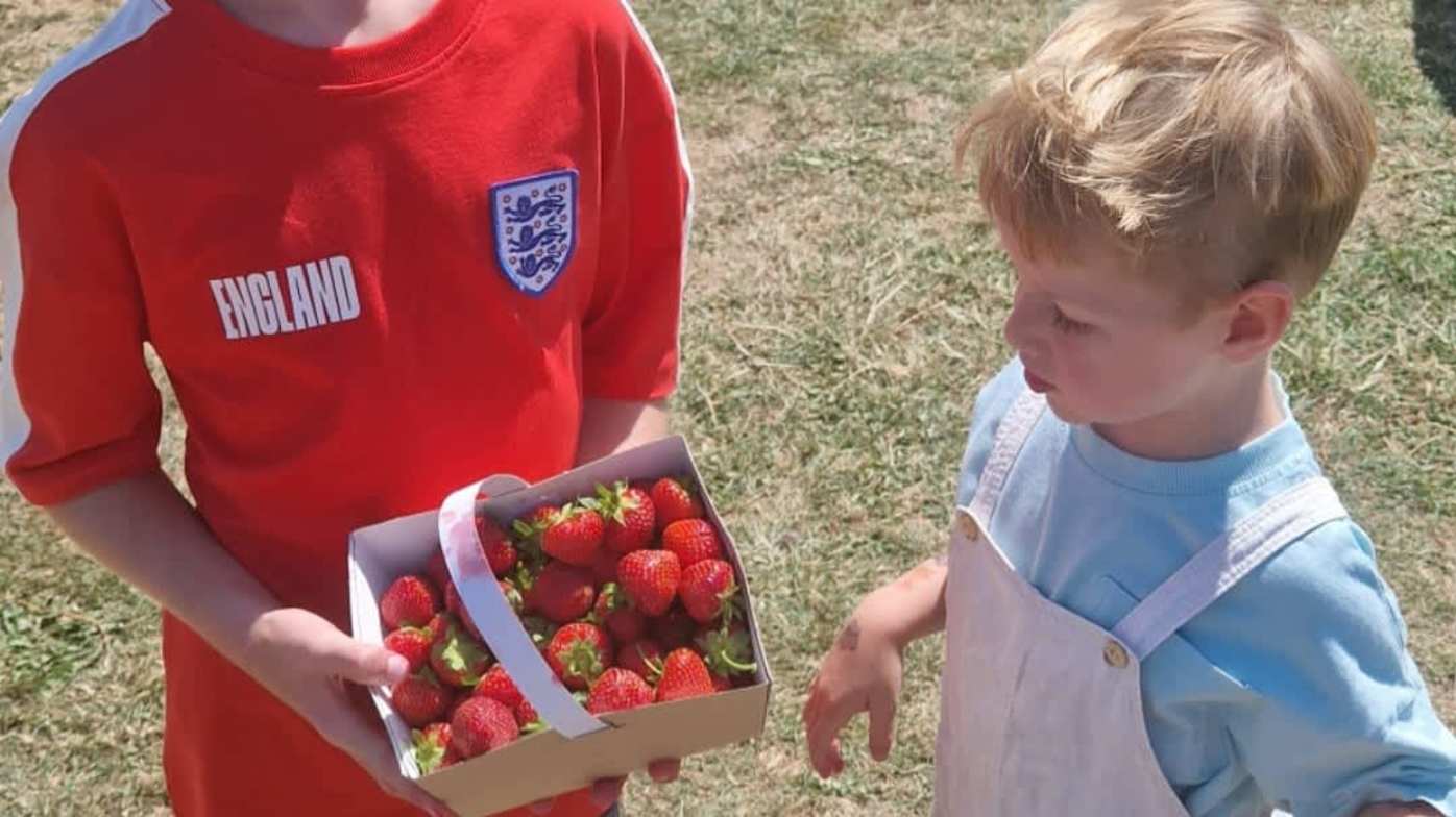 Delicious strawberries Delicious strawberries
