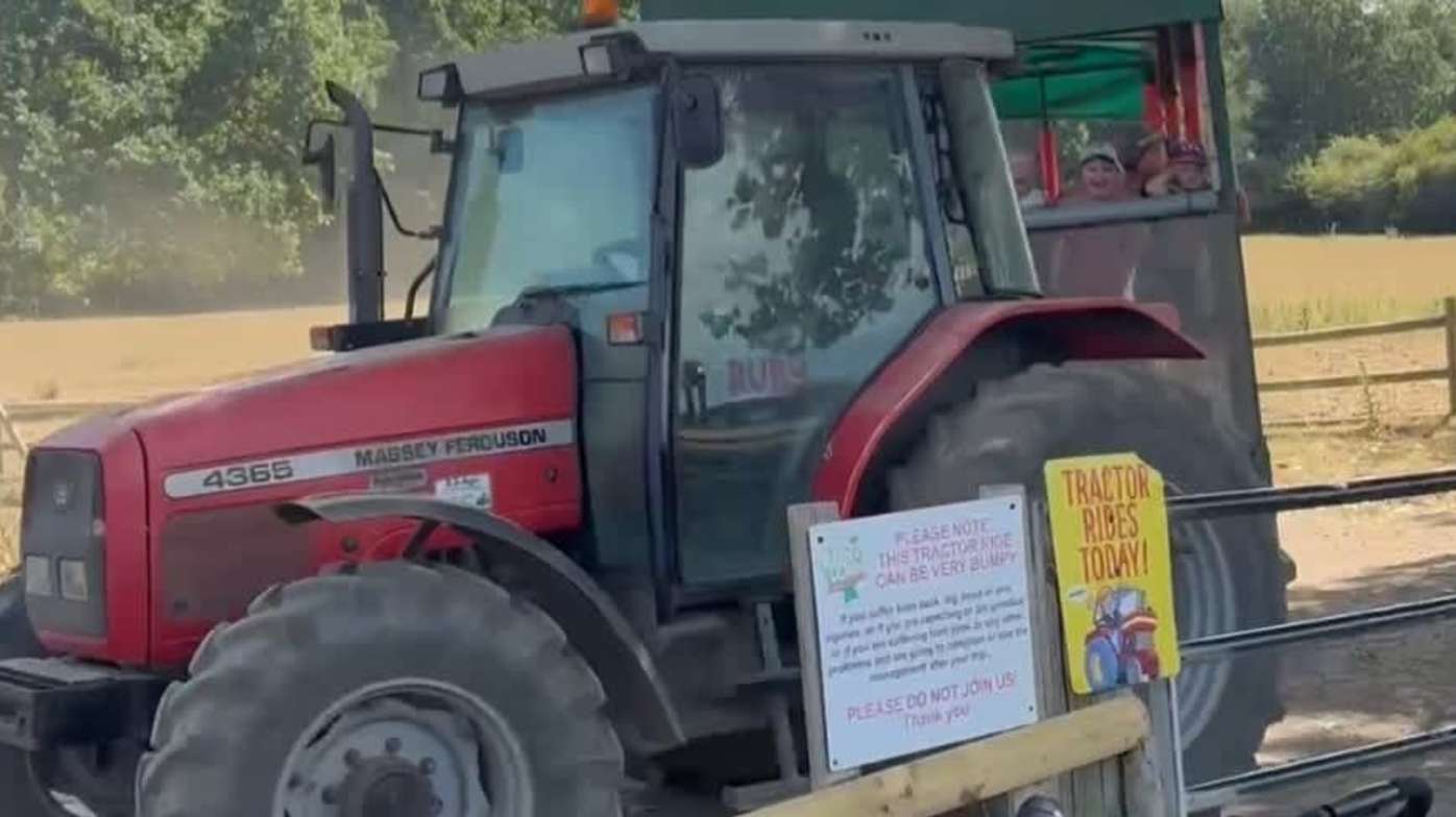 Got to ride a very bumpy tractor. Got to ride a very bumpy tractor.