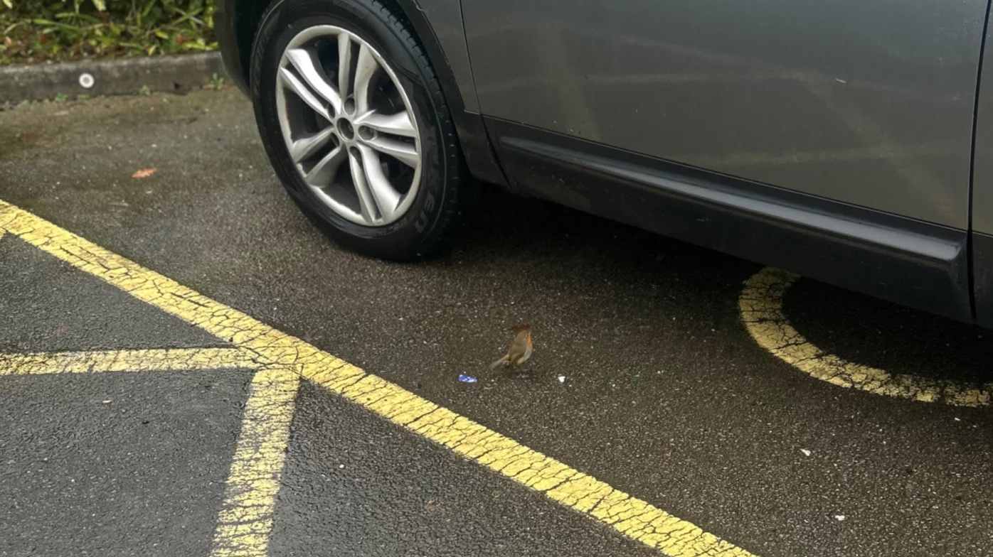 Large car park Large car park