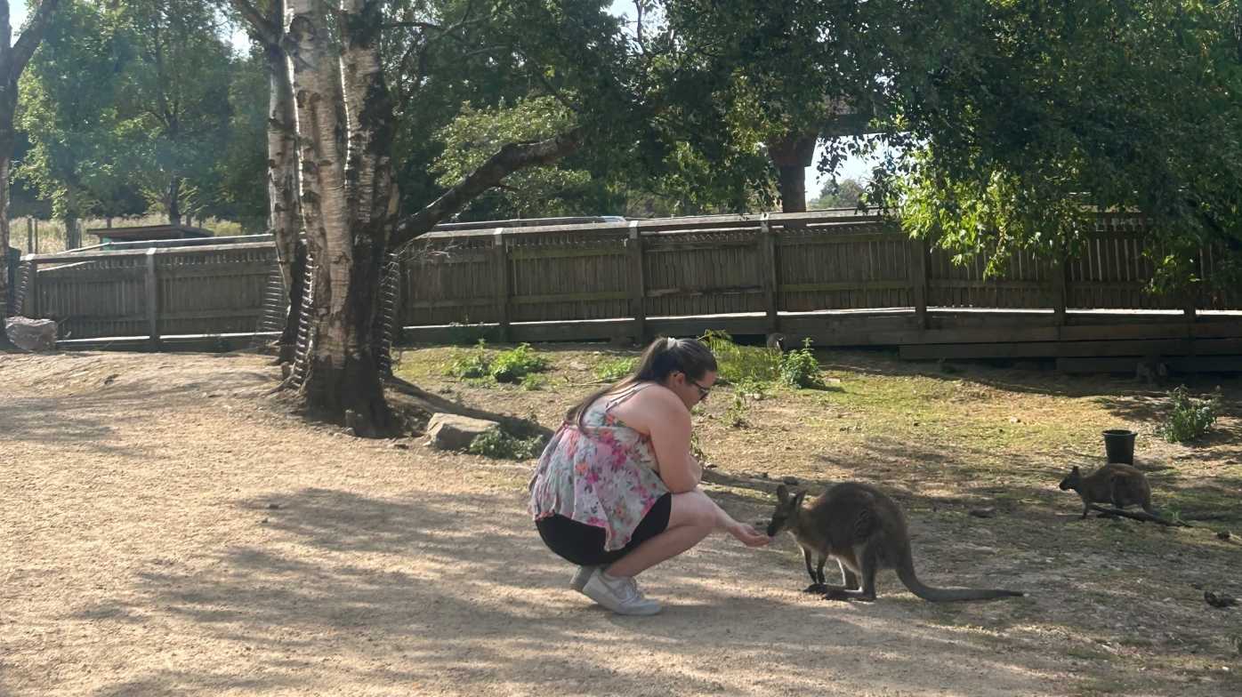 Up Close with the Wallabies Up Close with the Wallabies