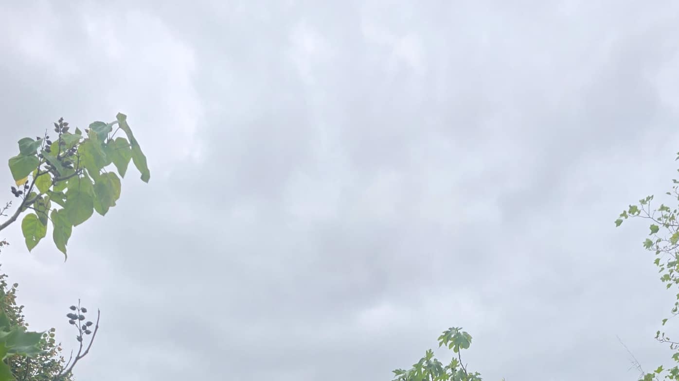 A little overcast but perfect weather A little overcast but perfect weather