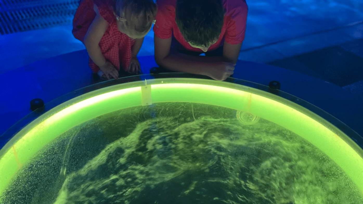 My youngest child particularly liked the water area, to splash around and play with all the water, like messy play. I was blown away by the entrance of water when it starts to rain, and we kept going back. Unreal immersive experience. My youngest child particularly liked the water area, to splash around and play with all the water, like messy play. I was blown away by the entrance of water when it starts to rain, and we kept going back. Unreal immersive experience.