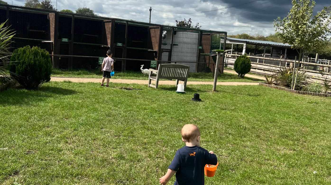 A great big outdoor space, great to let your little ones explore A great big outdoor space, great to let your little ones explore