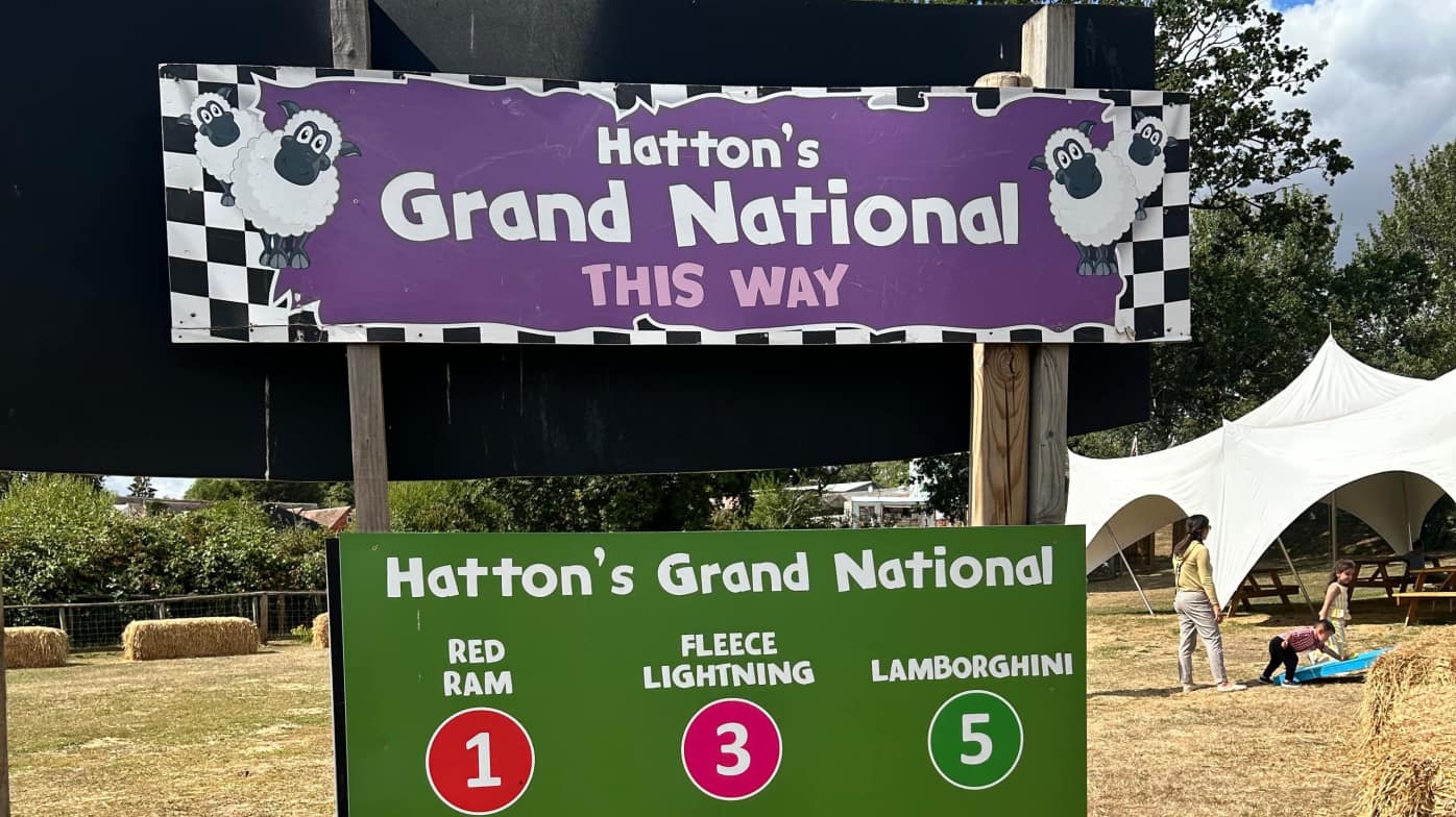 Grand National! Grand National!