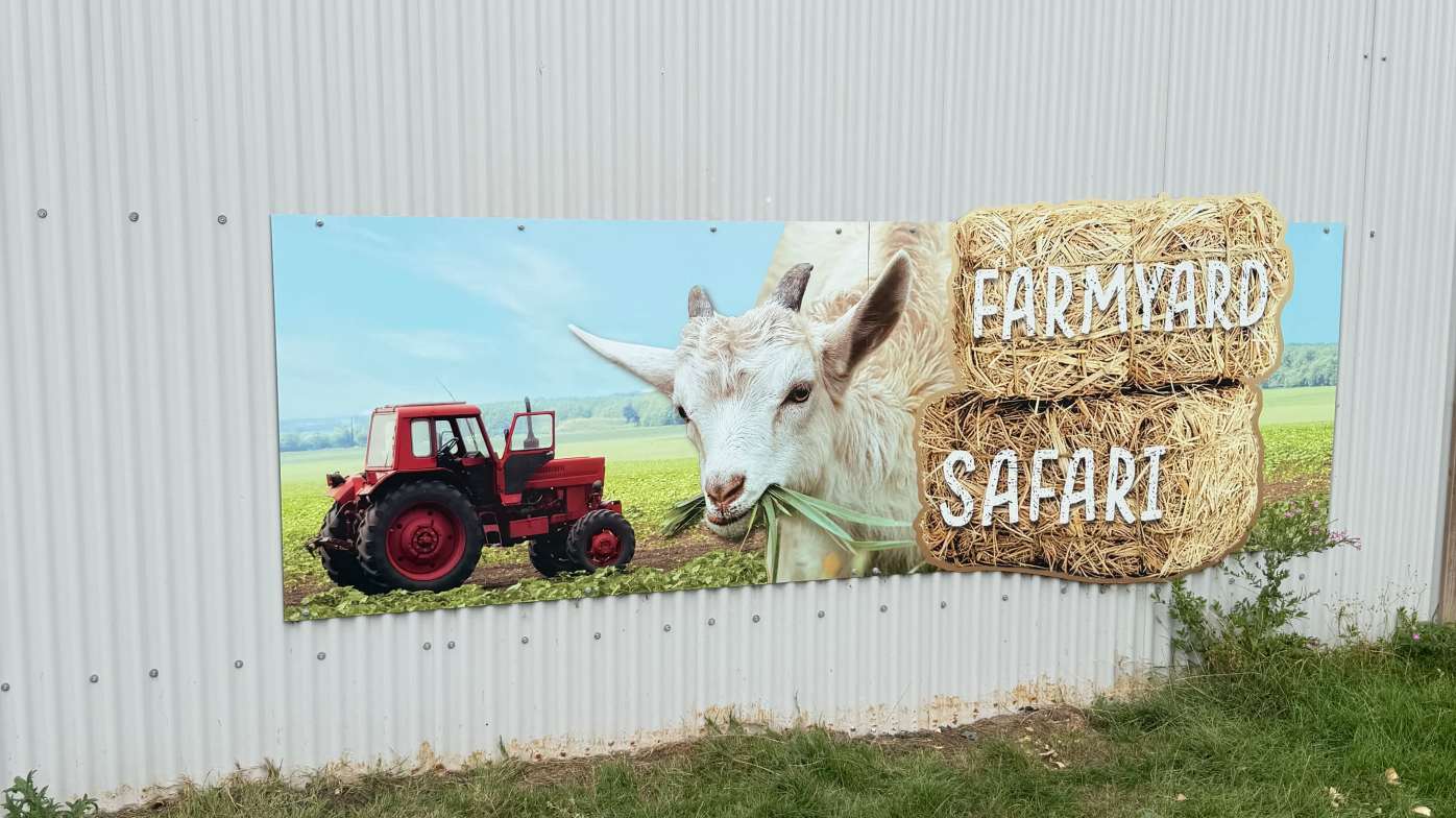 Farmyard safari Farmyard safari
