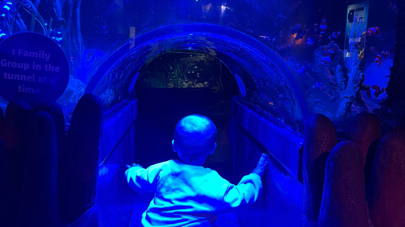 Tunnel vision Tunnel vision