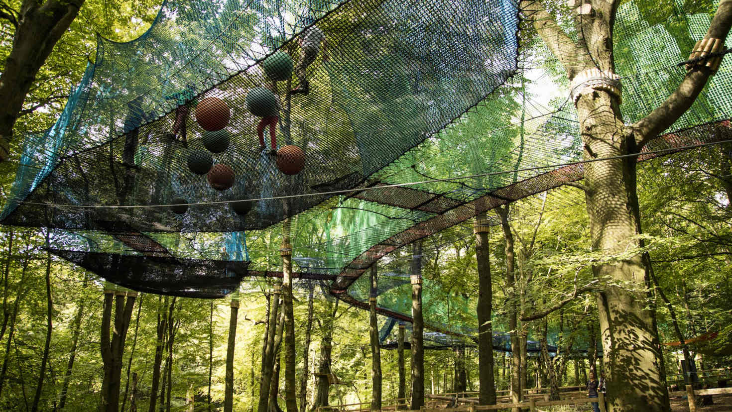 A view of the nets at Treetop Trek Manchester