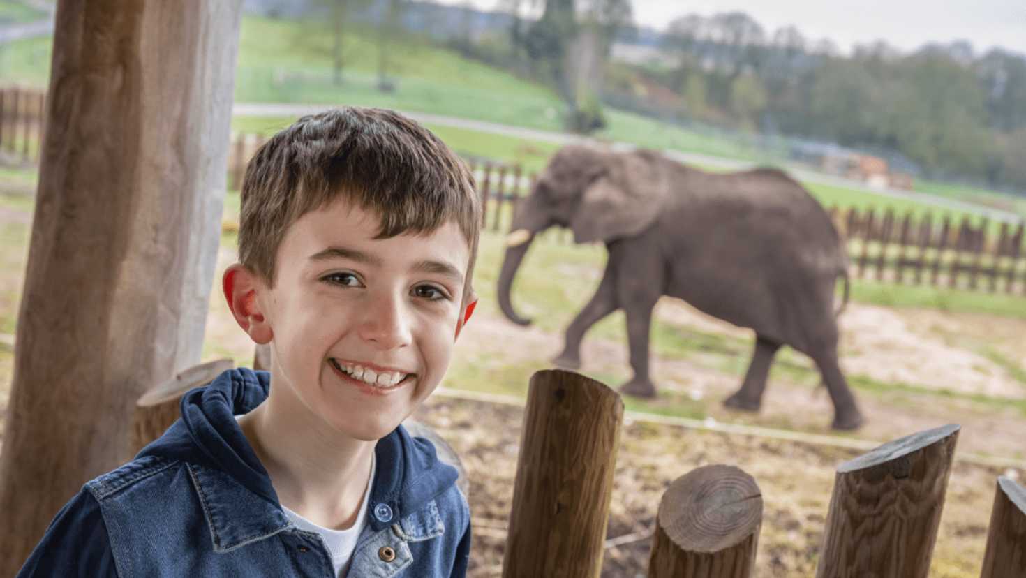 West Midlands Safari Park - Featured Image - 2