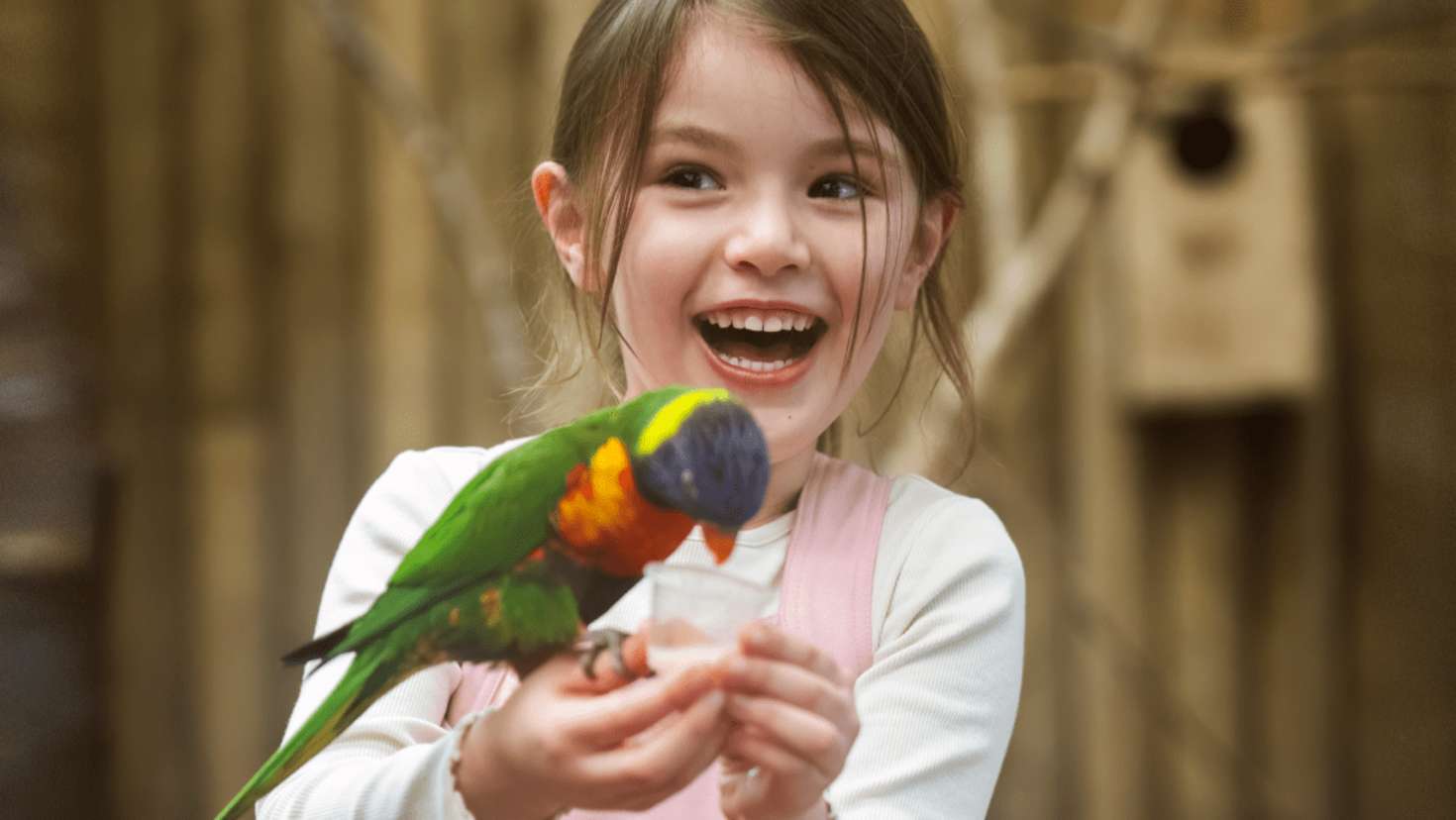 West Midlands Safari Park - Featured Image - 3
