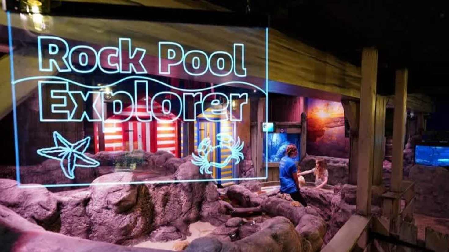 rock pool area at sea life rock pool area at sea life