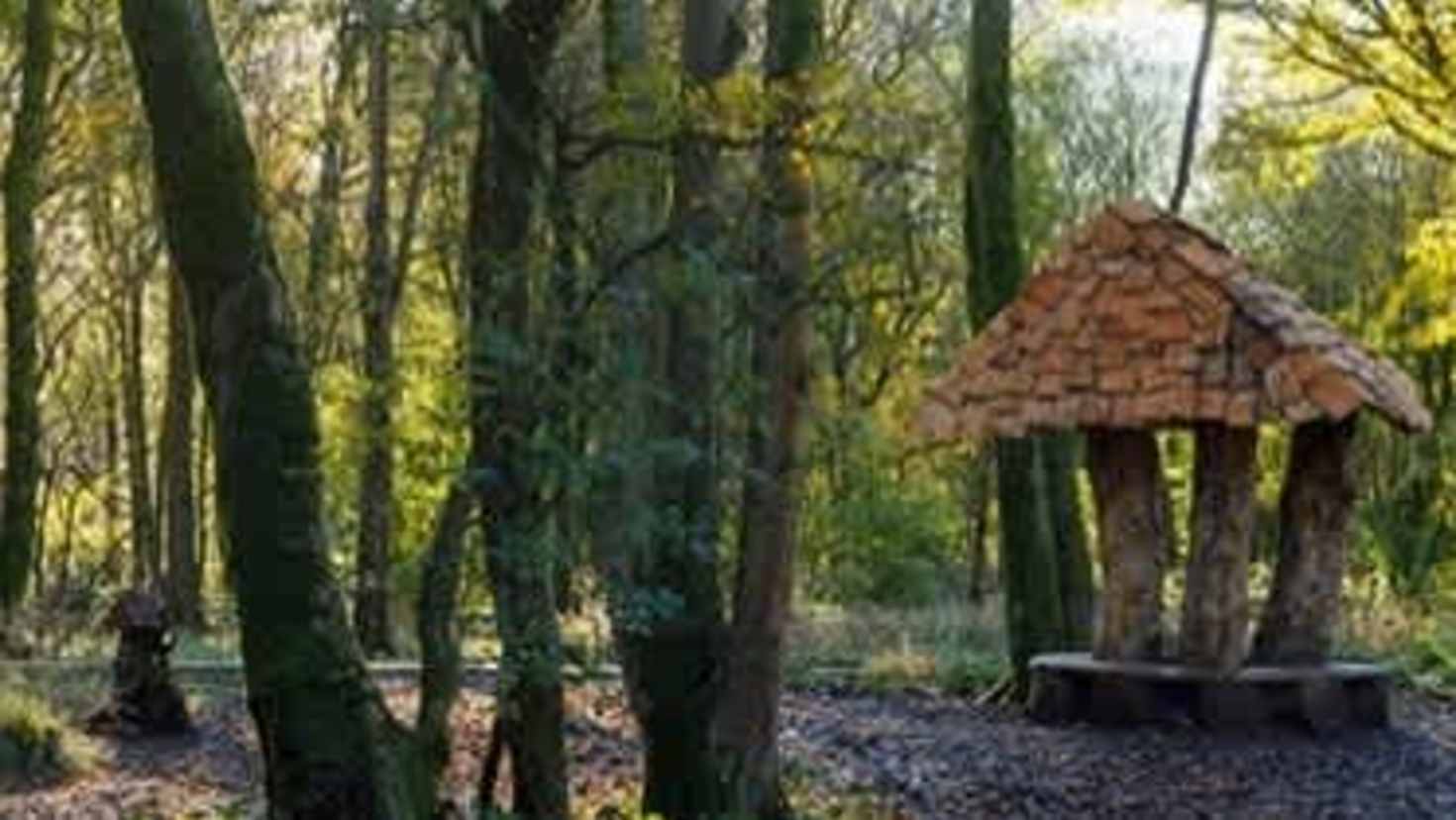 Woodland Play and family spaces - Image Woodland Play and family spaces - Image
