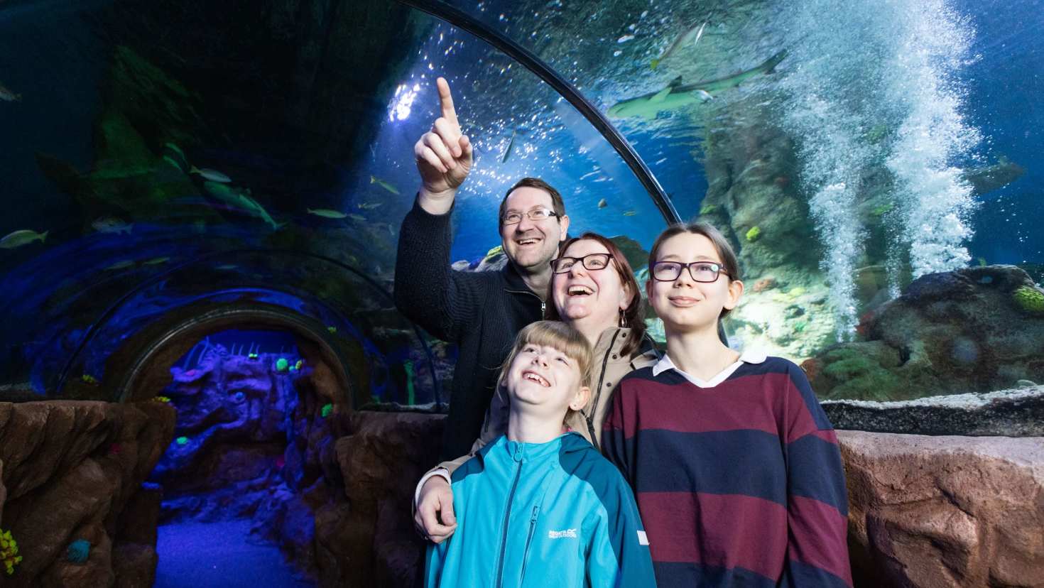 family looking at fish in tunnel family looking at fish in tunnel