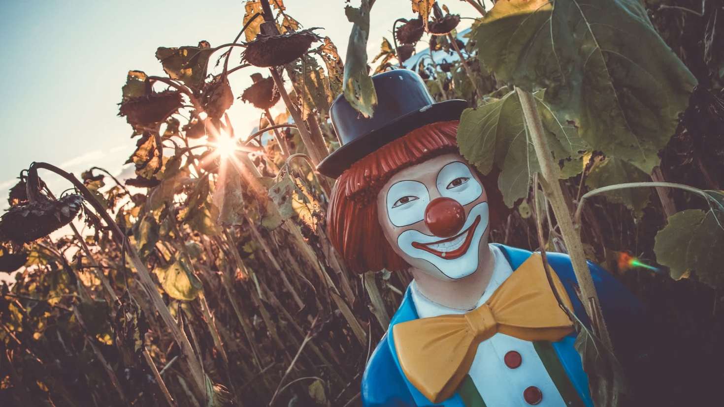 Halloween Farm - Featured Image - 2