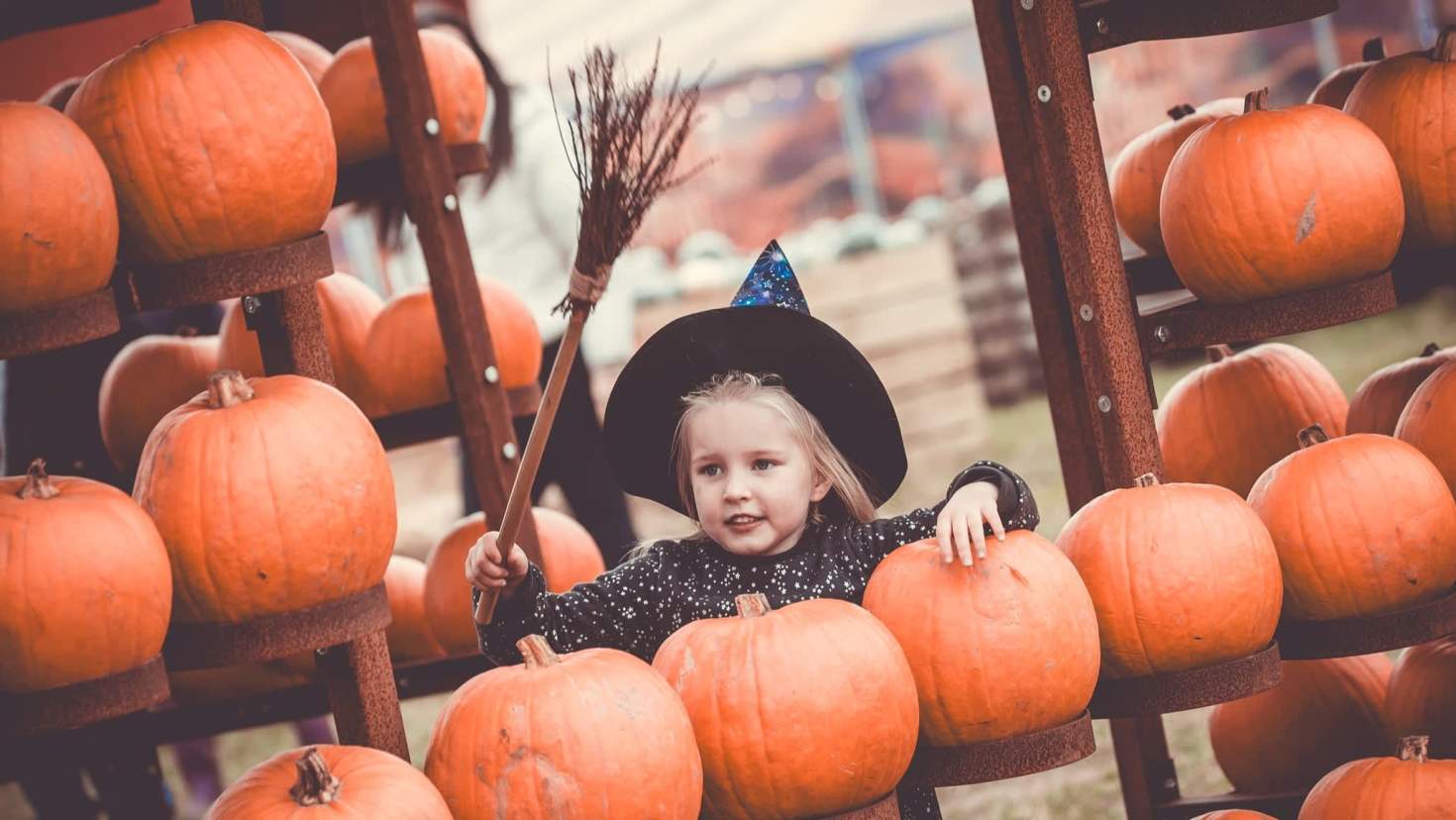 Halloween Farm - Featured Image - 3