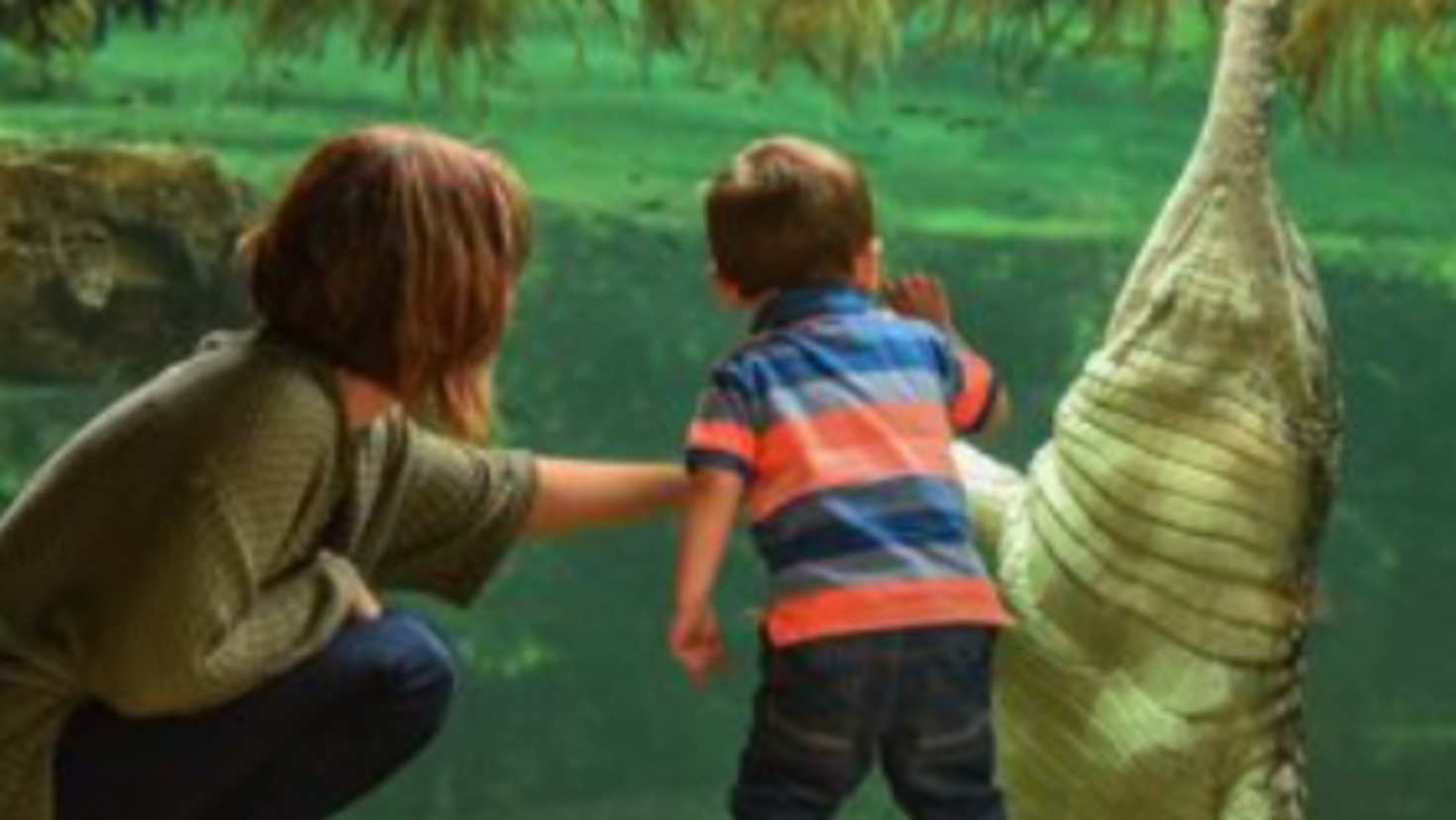 mum and son at the aquarium mum and son at the aquarium