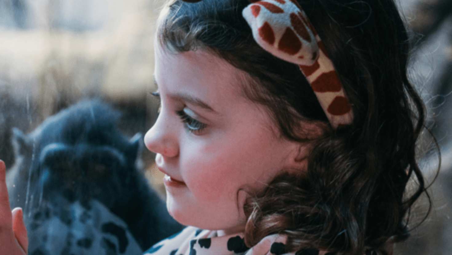 Good fit for mixed-age family days - Image Good fit for mixed-age family days - Image