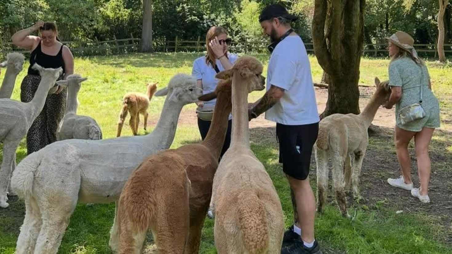 Meet the animals up close - Image