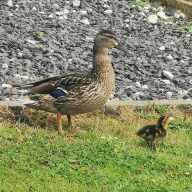 The Whitelegg Family Profile Image