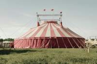 BOOM Circus at Belvoir Retail Village - Featured Image - 1