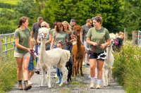 Farmlife Festival - Featured Image - 1