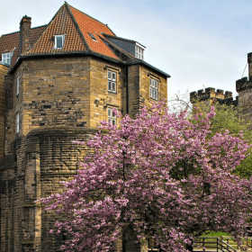 Newcastle Castle - Featured Image - 1