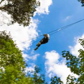 Go Ape Margam - Featured Image - 1