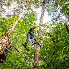 Go Ape Rivington - Featured Image - 1