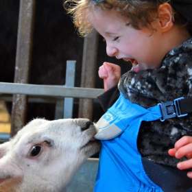 Tamala Farm Experience - Featured Image - 1 Tamala Farm Experience - Featured Image - 1