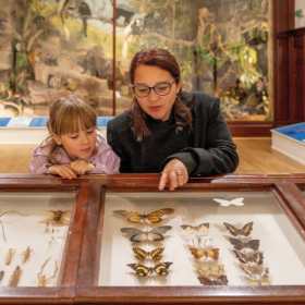 Powell-Cotton Museum - Featured Image - 1