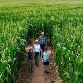 Elton Giant Mazes - Featured Image - 1
