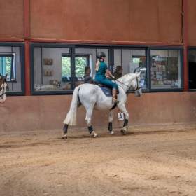 Smugglers Riding School - Featured Image - 1