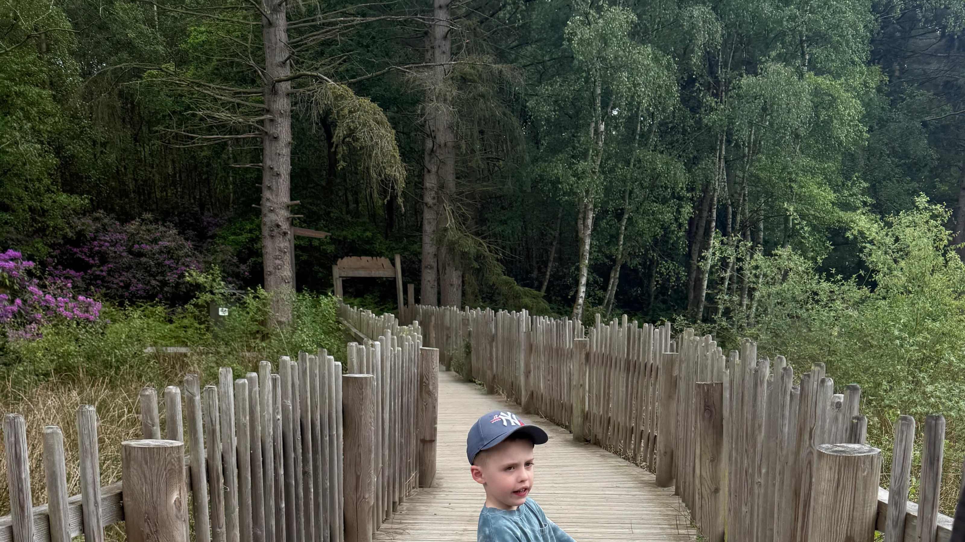 Lovely walks