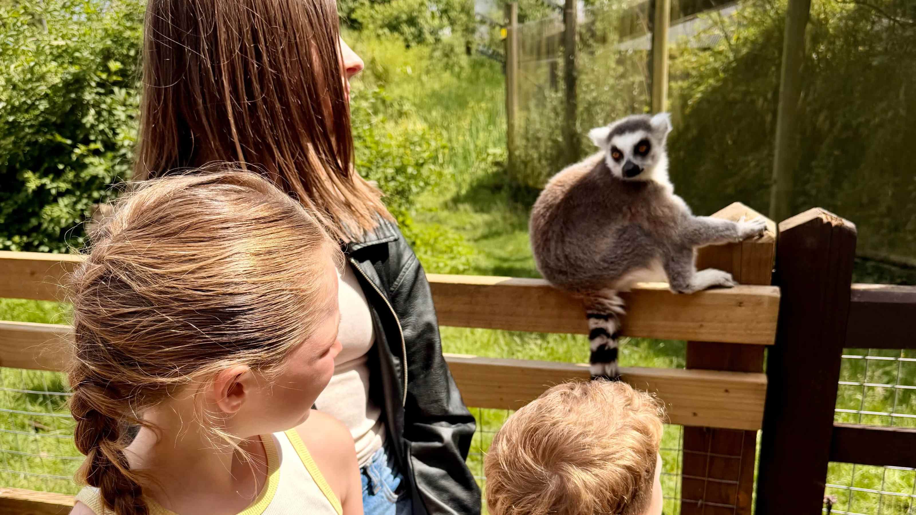 Up close with the lemurs