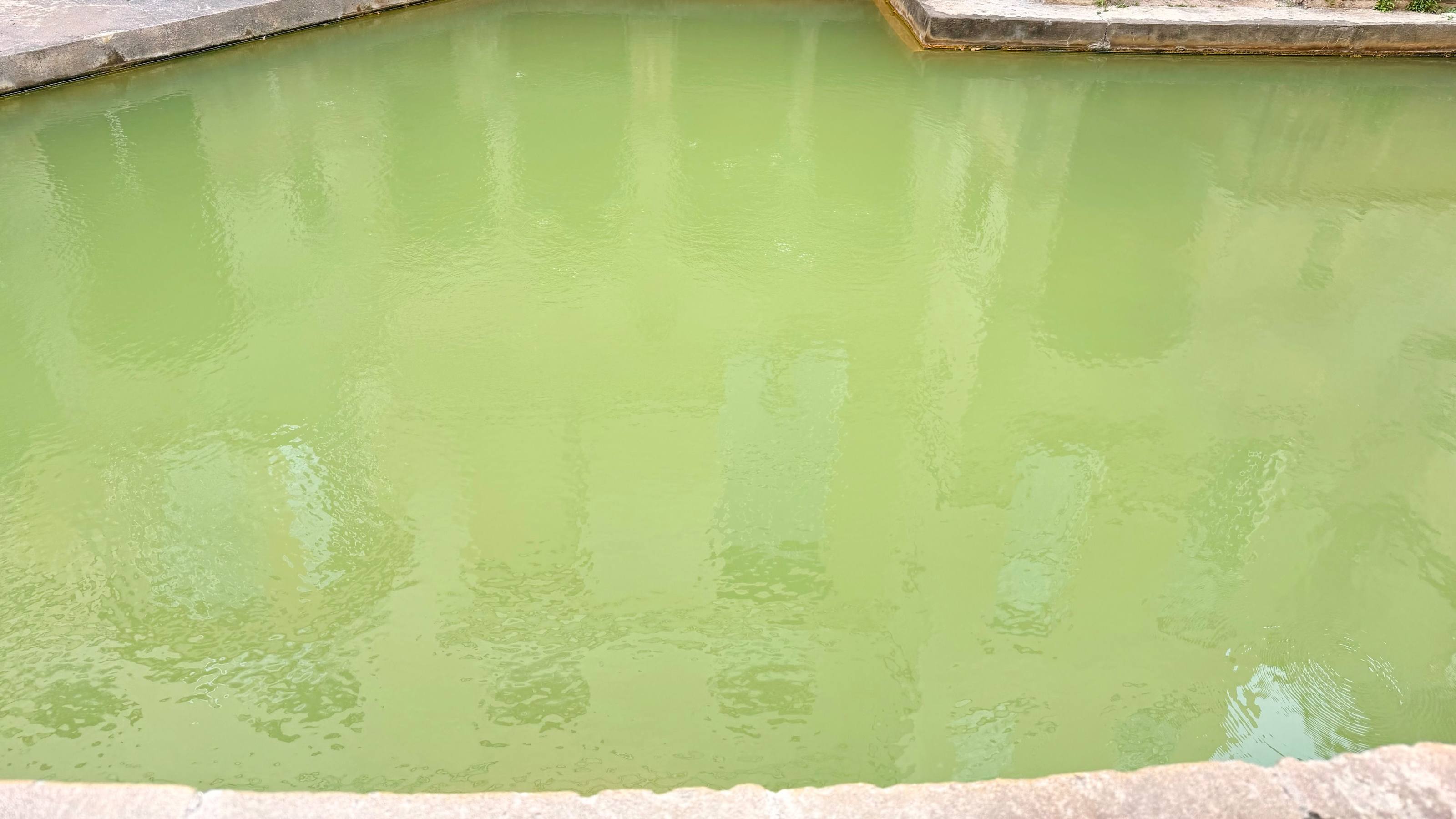 The Sacred Spring