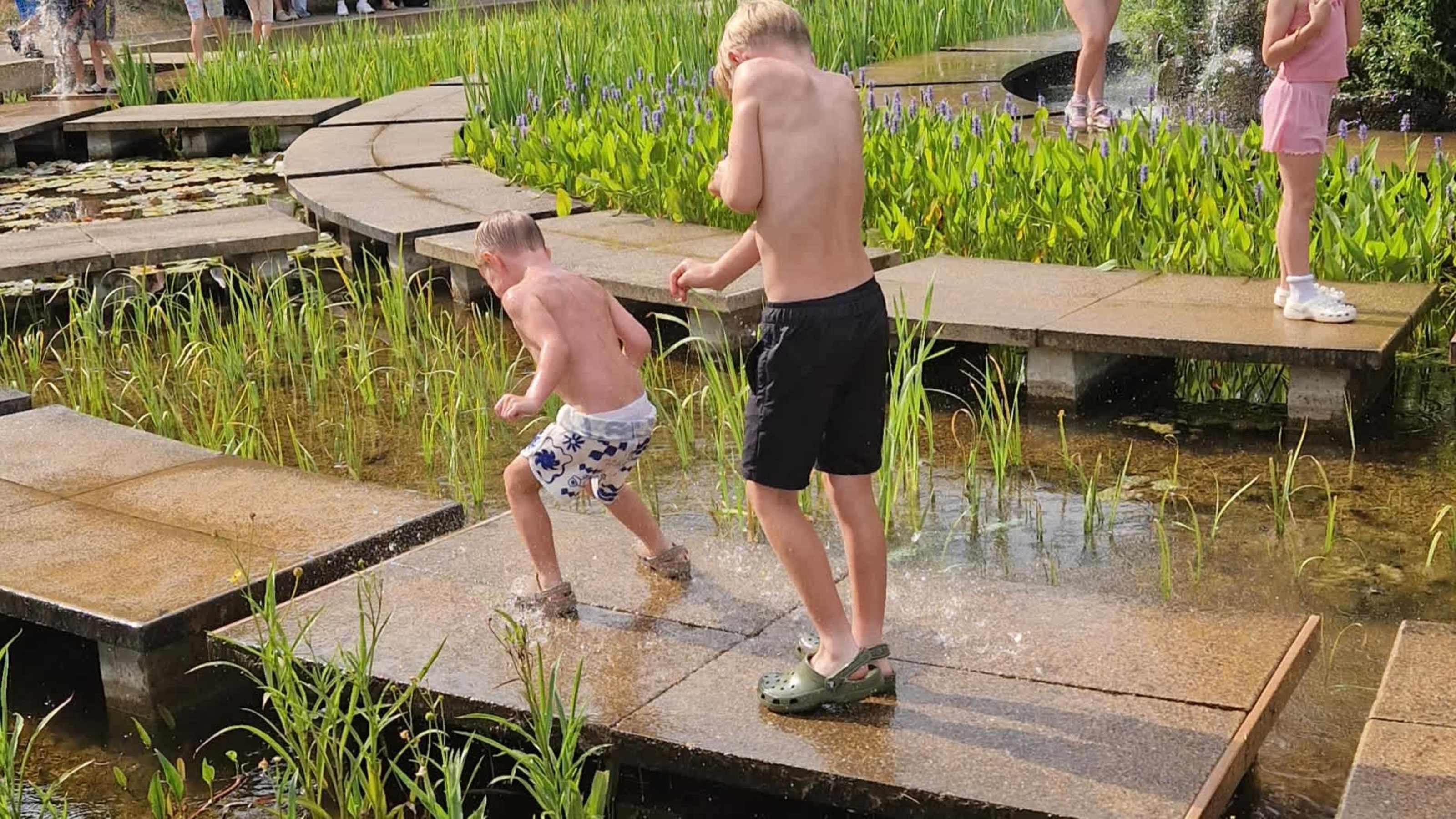 Water maze Water maze