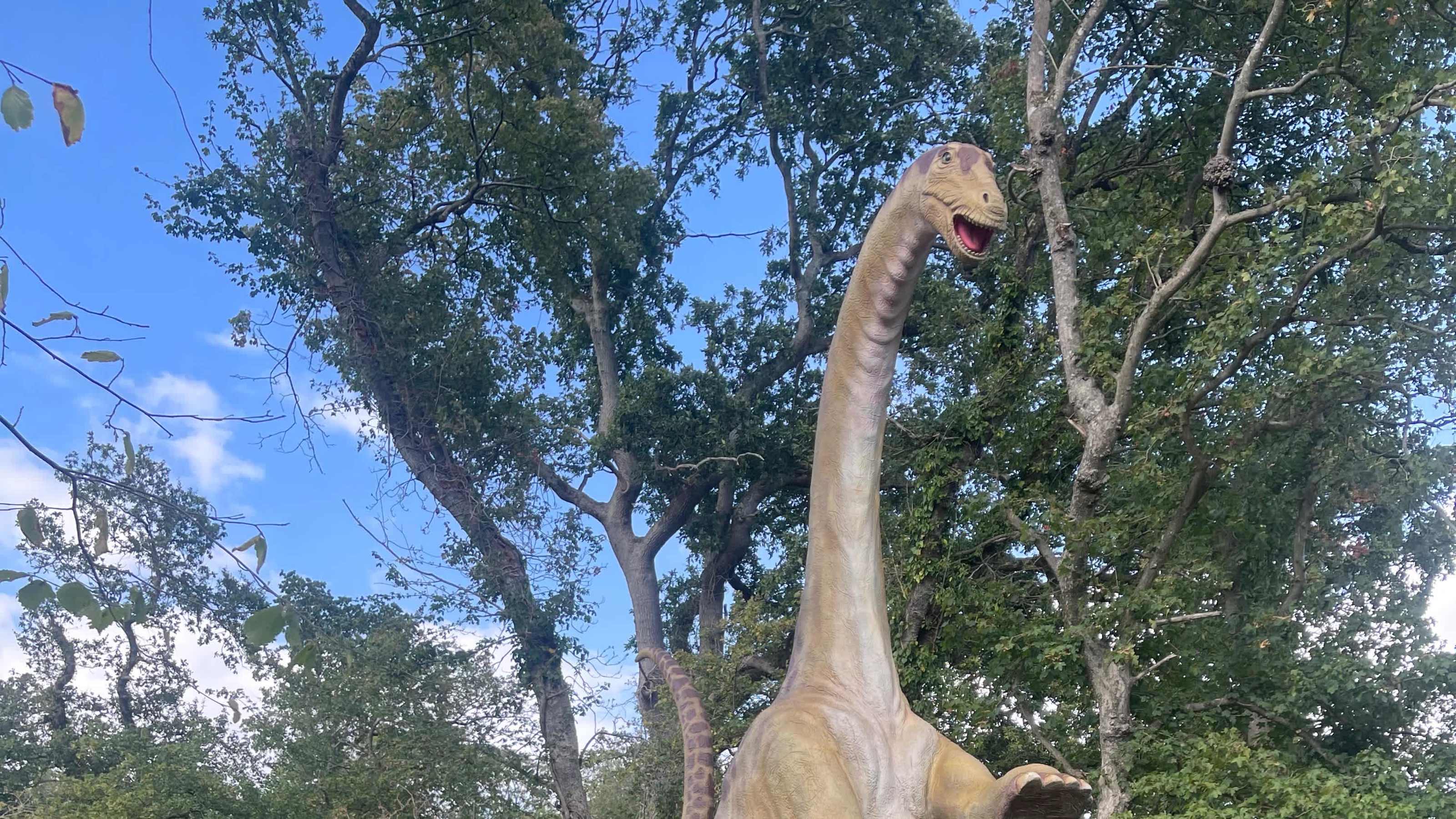 Dino Forest Dino Forest