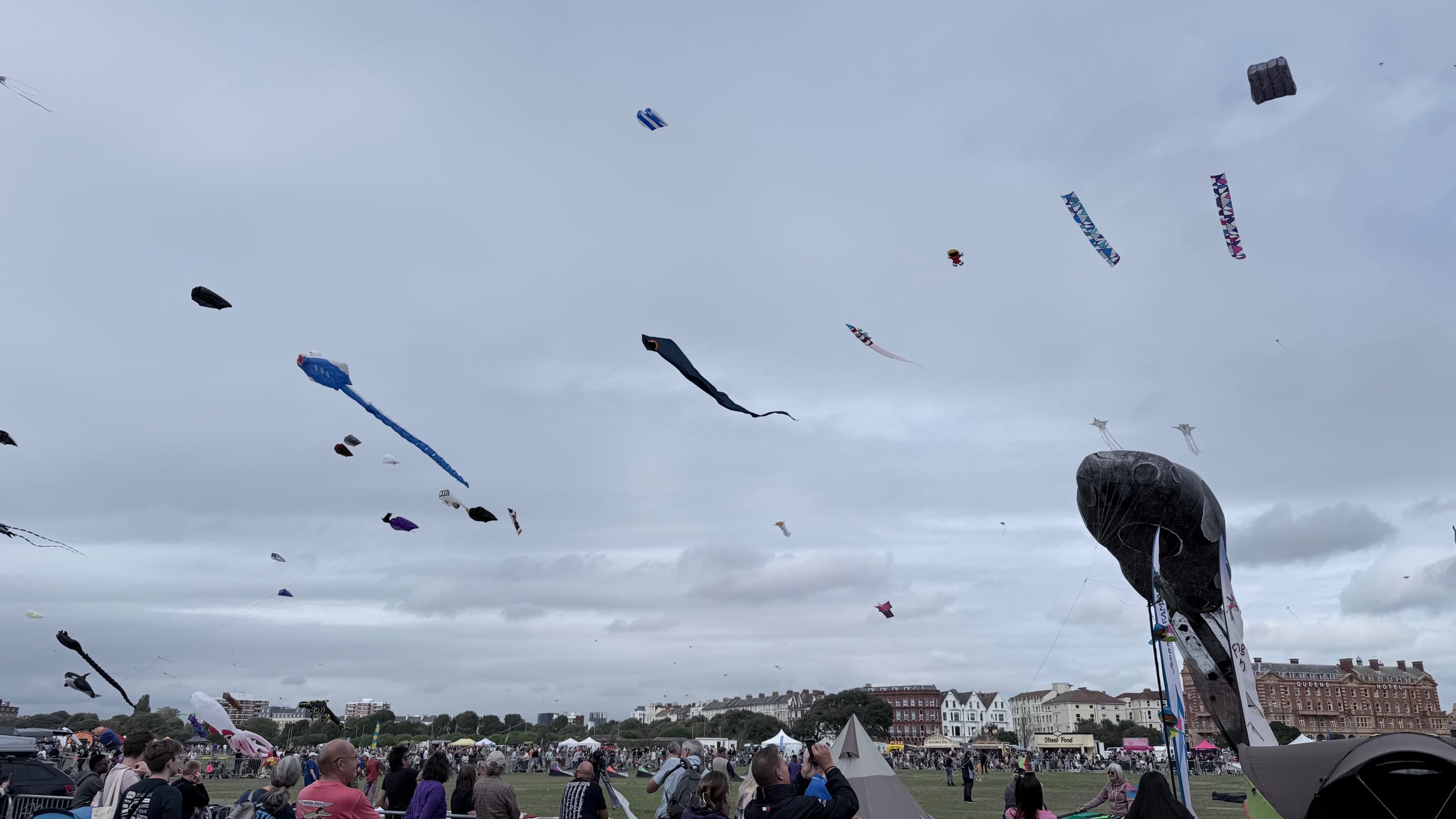 Kites Kites