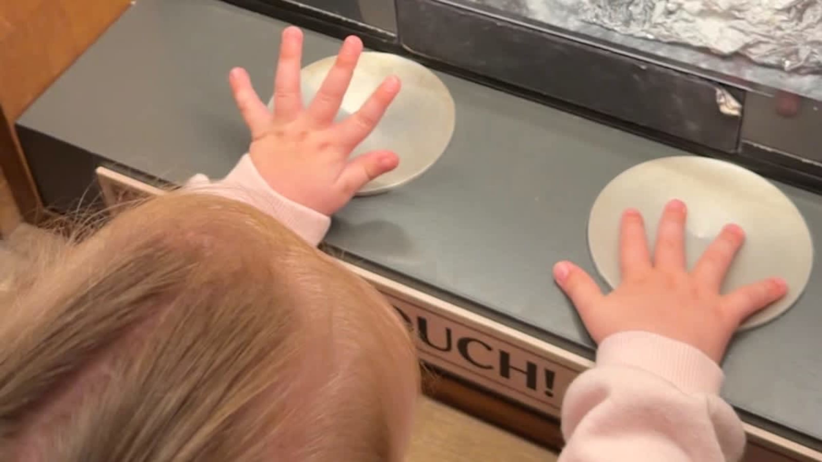You can look and touch! You can look and touch!