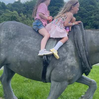 coal mining horse coal mining horse