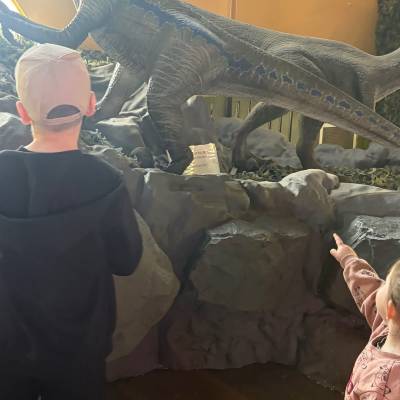 Looking at the dinos as you first enter