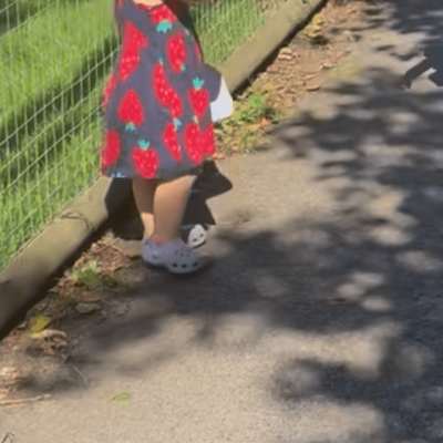 It was safe for the young children to wonder around without me being worried there was too many places for them to hide or run out of sight. It was safe for the young children to wonder around without me being worried there was too many places for them to hide or run out of sight.