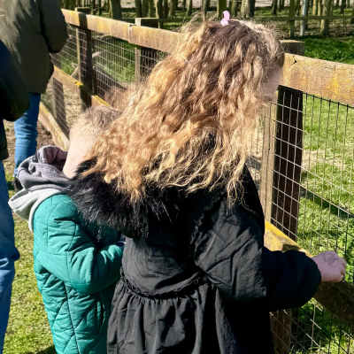 We hadn’t even explored the rest of the attraction yet, and the goats had already won over the children!