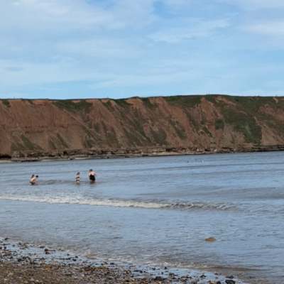 Beach Beach